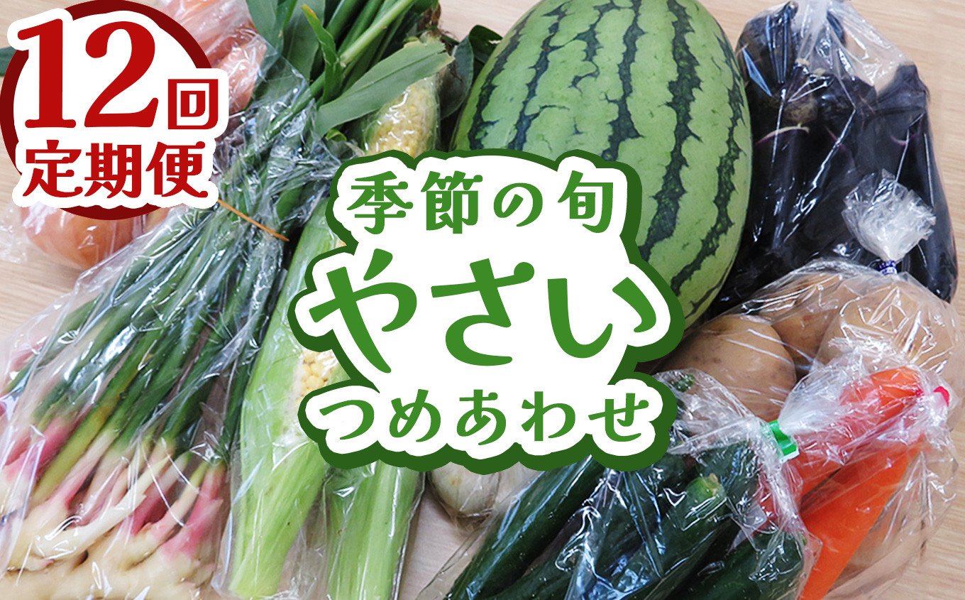 
            【定期便12回】下野市産 季節の旬野菜詰め合わせ | 定期便 旬野菜 詰め合わせ 野菜セット 地元野菜 栃木県産 新鮮野菜 産地直送 野菜通販 無農薬野菜 季節野菜 朝採れ野菜 地場野菜 お取り寄せ 下野市野菜 野菜詰合せ 有機野菜 地元農家 栃木野菜 栃木県 下野市
          