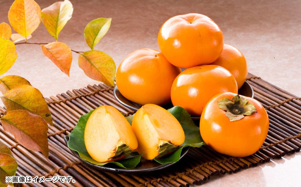 
                  熊本県産 太秋柿 2kg 【2026年10月下旬発送開始】 フルーツ くだもの 果物 かき 柿
                