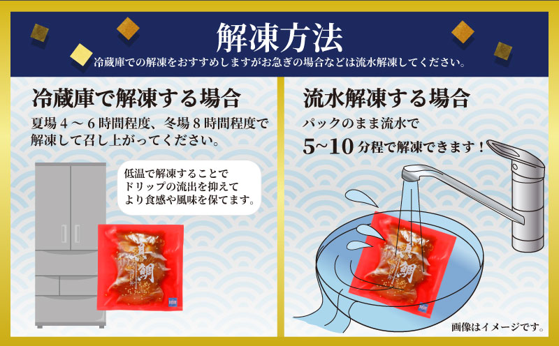 漬丼 厳選 活締め 全18種 お任せ 漬け丼 8食 セット 南予ビージョイ 真鯛 鰤 シマアジ カンパチ ヒラマサ ヒラメ アジ サーモン サワラ 太刀魚 チダイ イトヨリダイ イサキ ヤリイカ キハ
