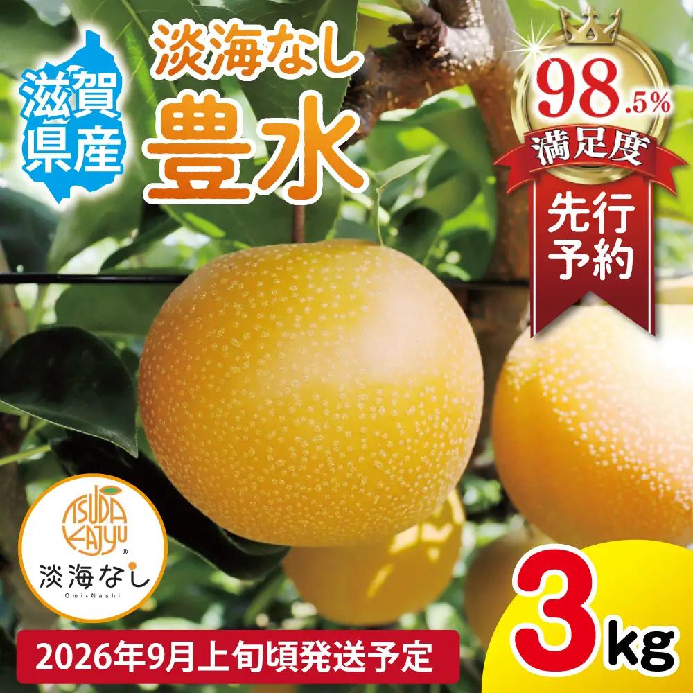 【先行予約】【数量限定】淡海なし　豊水　3kg箱入り（サイズ：2L～7L　5～10個入り）【K129W】スイーツ 果物