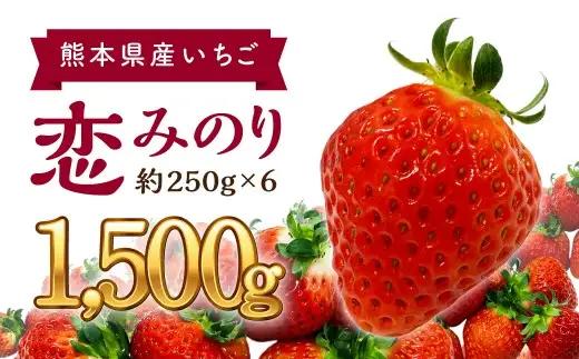 熊本県産 恋みのりいちご 約250g×6パック イチゴ 1.5kg【2027年1月下旬発送開始】