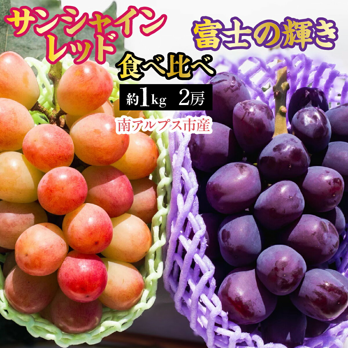 【ふるさと納税】 【2026年発送先行予約】南アルプス市産　サンシャインレッド × 富士の輝き 食べ比べセット　約1.0kg（2房）ふるさと納税 葡萄 ぶどう 果物 フルーツ おすすめ 山梨県 南アルプス市 送料無料 ALPDD023