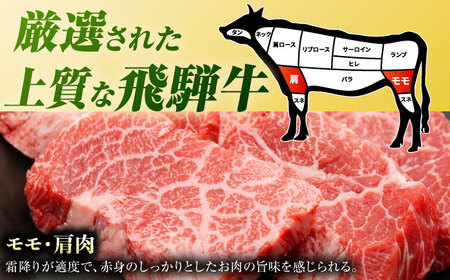 【6回定期便】 飛騨牛 焼肉用 赤身 600g（300g×2）/ 焼肉 牛肉 和牛 定期便 肉 / 白川町 / 浅井商店[AWBJ013]