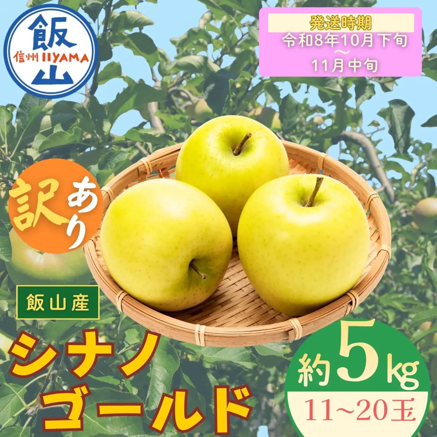 【訳あり】 りんご シナノゴールド 約5kg（11～20玉）【2026年10月下旬より発送 先行予約】At-024