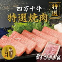 【ふるさと納税】R5-976．幻のメス牛 四万十牛特選焼肉（約300g） 国産 高知 しまんと 四万十 四万十牛 メス牛 お取り寄せ 牧場直売 肉 牛肉 黒毛和牛 ご褒美 焼肉 リブロース 肩ロース バーベキュー BBQ