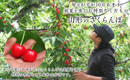 山形産 さくらんぼ 佐藤錦 1kg Lサイズ バラ詰め 【令和8年産先行予約】FS25-704 くだもの 果物 フルーツ 山形 山形県 山形市 2026年産