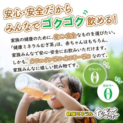 ふるさと納税 恵庭市 『定期便:全4回』健康ミネラルむぎ茶2L×6本【50000901】 |  | 01