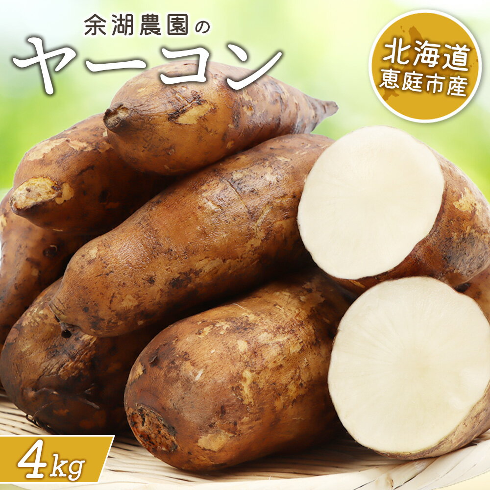 【ふるさと納税】北海道恵庭市産 余湖農園のヤーコン4kg | ヤーコン 4kg 貴重 野菜 根菜 サラダ きんぴら 天ぷら 食物繊維 ポリフェノール ダイエット 健康 お取り寄せ 北海道 恵庭市 恵庭【31001402】
