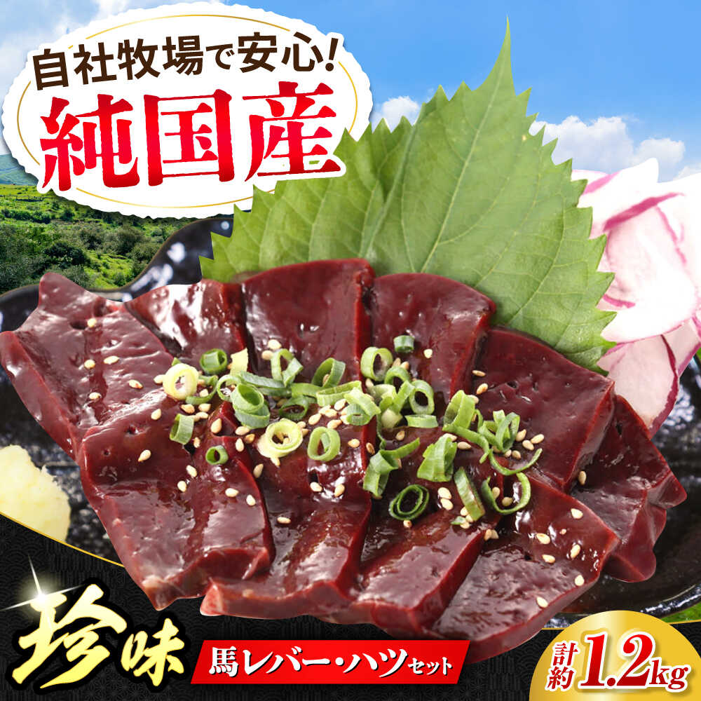 【ふるさと納税】『純国産』熊本の味 馬 珍味 セット 計約1.2kg（200g×6セット）レバー ハツ 刺身 馬肉 希少 熊本 生レバー 生ハツ【有限会社 九州食肉産業】[AYCN013] 国産 食べ比べ おつまみ 晩酌