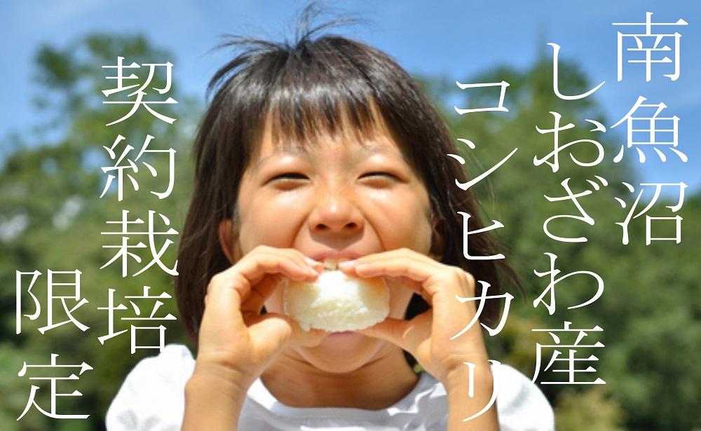 【令和7年産】【定期便】契約栽培限定 契約栽培 南魚沼しおざわ産コシヒカリ２Kg×12ヶ月