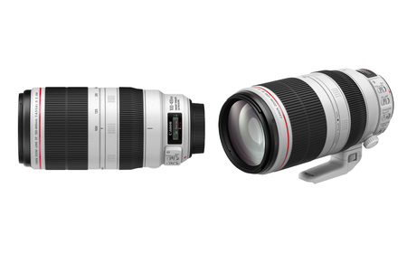 【ふるなび限定】＜レンズEF100-400mm F4.5-5.6L IS II USM＞3ヶ月以内に順次出荷【c1024_ca】FN-Limited Canon キヤノン キャノン カメラ