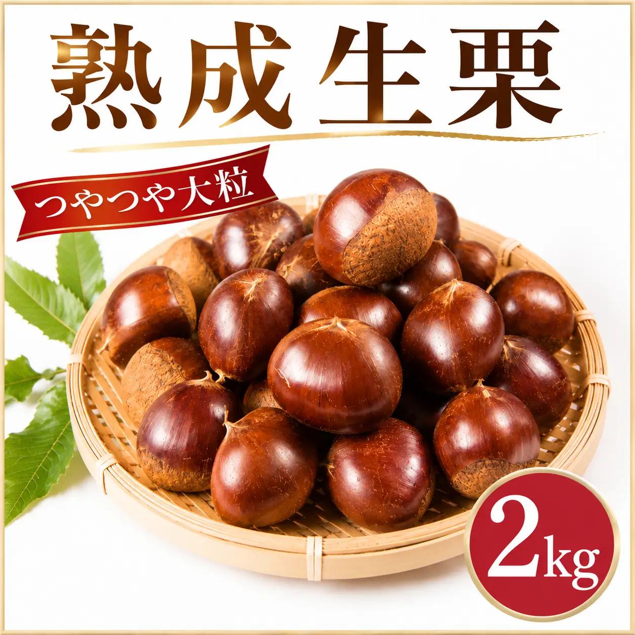 ＼まもなく発送開始／ 谷口農場 の和栗 生栗 約2kg (3Lサイズ) 
