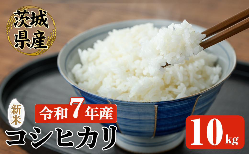 【先行予約】 常陸大宮産 コシヒカリ 10kg 米 お米 新米 令和7年 精米 白米 こめ コメ ご飯 ごはん コシヒカリ こしひかり 10kg 5キロ 【常陸農業協同組合】【ho1575】