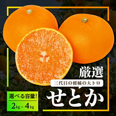三代目 がつくる 柑橘 の 大トロ 【 せとか 】 3kg 【C31-6】 _ みかん 蜜柑 ミカン かんきつ 国産 愛媛 フルーツ 果物 くだもの 送料無料 新品種 贈り物 ギフト プレゼント 愛媛みかん せとかみかん 【配送不可地域：離島】