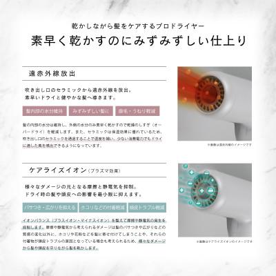 ふるさと納税 藤枝市 ケアライズ　折りたたみ式プロドライヤー(強風タイプ)【TF‐2602】 |  | 02