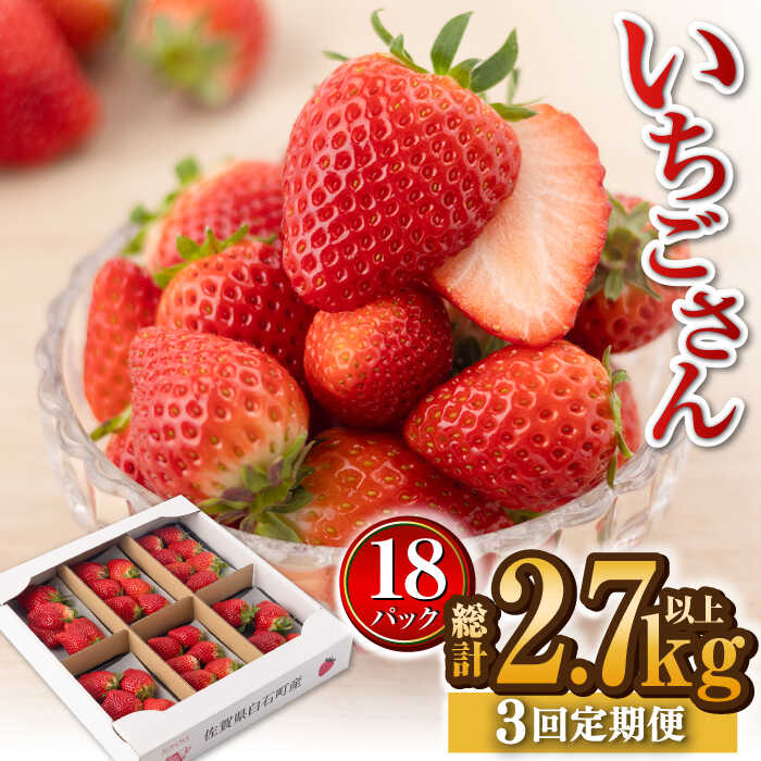 【ふるさと納税】【R8年1月以降発送】【全3回定期便】白石産いちご「いちごさん」 約150g×6パック/回（総計2.7kg以上）【道の駅しろいしカンパニー】苺 イチゴ 赤いちご 人気 果物 フルーツ 佐賀県 白石町 [IAA032]