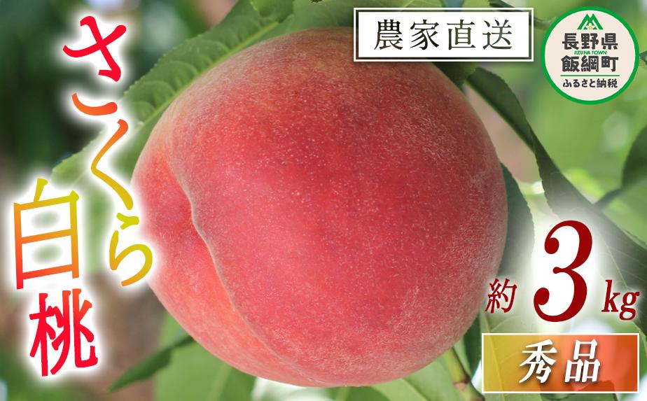 
            もも 完熟 さくら白桃 秀品 3kg サイズおまかせ 白桃 井澤農園 配送先は本州限定 2025年9月中旬頃から2025年10月上旬頃まで順次発送予定 令和7年度収穫分 エコファーマー認定 信州 果物 フルーツ 大玉 モモ 桃 長野 18000円 予約 農家直送 長野県 飯綱町 [1564]
          