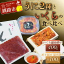 【ウニとイクラの食べ比べ！】塩水うに100g&生うに折100g×1折&いくら醤油漬け400g 北海道 釧路 ふるさと納税 うに 雲丹 いくら ごはんのお供 寿司 丼 新鮮 甘い 海の幸 贅沢