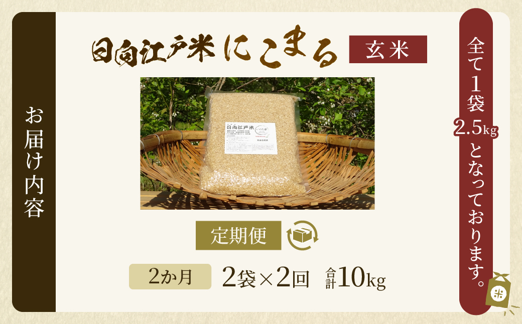 【2か月定期便】天日干しが引き出す お米の旨味 日向江戸米（にこまる）【玄米】合計10kg 国産米 ブランド米 農薬不使用 化学肥料不使用 無農薬 ごはん ご飯 おにぎり お弁当 冷めても美味しい も