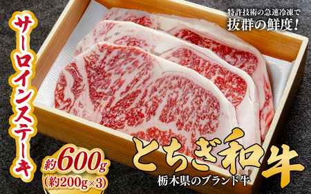 とちぎ和牛の厚切りサーロインステーキ 600ｇ(200ｇ×3枚)【栃木県共通返礼品】 | 和牛 ステーキ 栃木県 茂木町