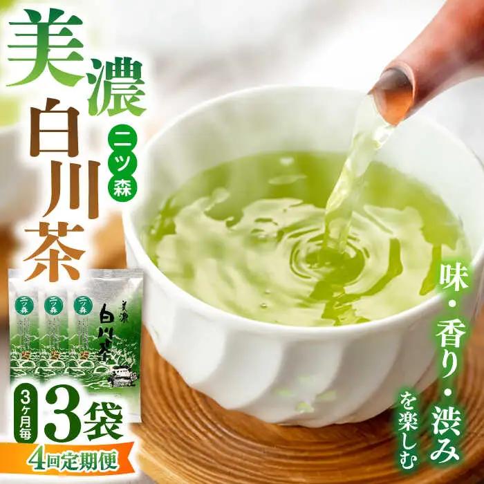 【4回定期便】白川茶「二ッ森」 3パック / ますぶち園[AWAC001]