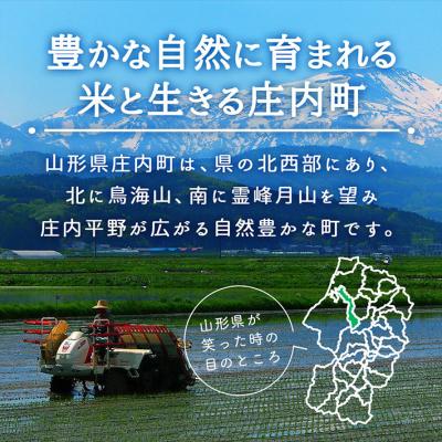 ふるさと納税 庄内町 【6か月定期便】庄内米 はえぬき 10kg【6月中旬発送】 |  | 02