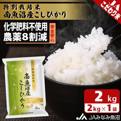 ふるさと納税 南魚沼市 【令和8年産＼新米/】限られた匠がつくる「特別栽培米南魚沼産こしひかり8割減」精米2kg