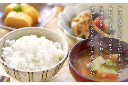 【季節限定17日配送】出雲國仁多米特別栽培米8kg定期便5回【仁多米 こしひかり 特別栽培米 8kg 定期便 5回 ブランド米 コシヒカリ 白米 精米 金賞受賞】