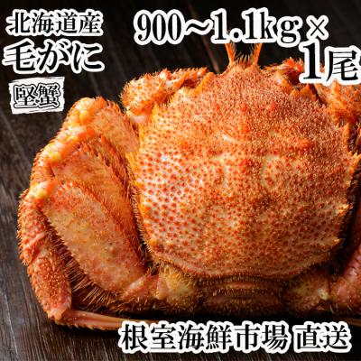 ふるさと納税 根室市 根室海鮮市場<直送>ボイル毛がに900g〜1.1kg×1尾(堅蟹) F-28029