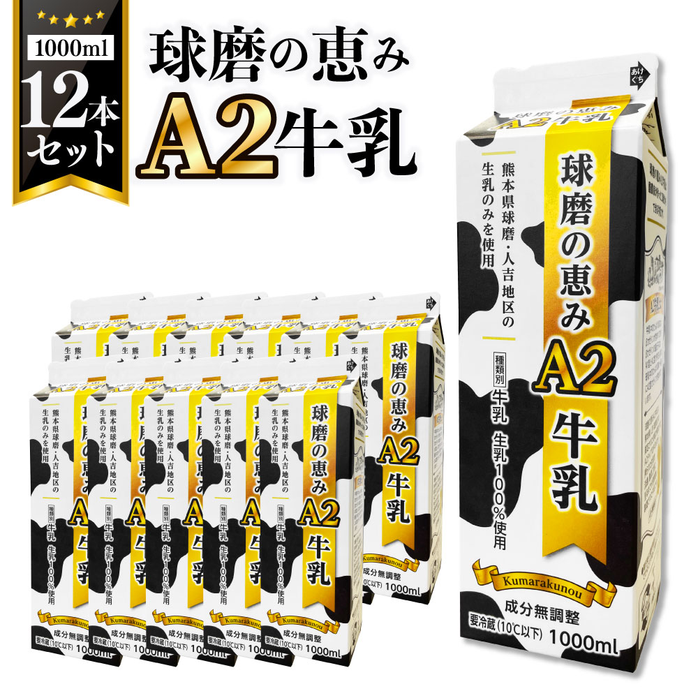 【ふるさと納税】球磨の恵みA2牛乳12本セット 1000ml×12本 生乳100％ A2型-βカゼイン 牛乳 ミルク MILK 乳製品 乳飲料 熊本県 球磨 人吉 送料無料