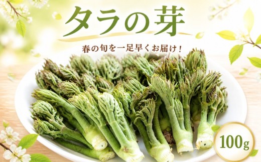 【 先行予約 】 タラの芽 100g 春の味覚 たらの芽 天ぷら 山菜 春の山菜 タラの木 旬 旬の味覚 旬の味 和え物 お浸し 天ぷら 山菜の王様 三好市 徳島