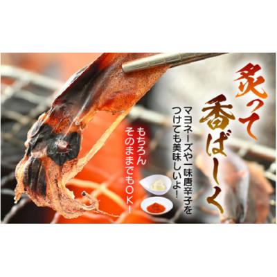 ふるさと納税 越前町 【越前海岸・美味直送シリーズ】ホタルイカ素干し　50g×3パック |  | 02