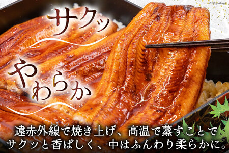 うなぎ 国産 蒲焼 2尾 うなぎ(約145g)