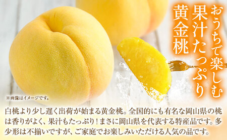 ご家庭用 おかやまの黄金桃 大玉3玉 桃