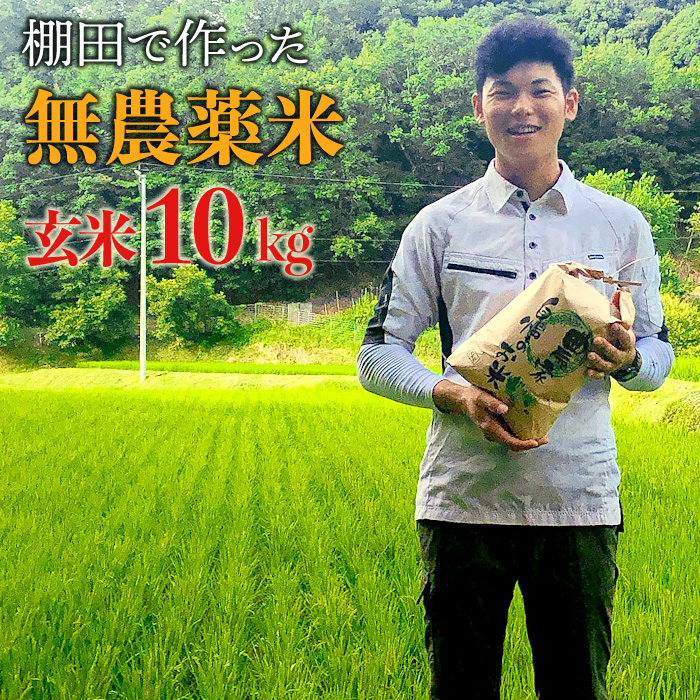 【新米】赤村産棚田米こだわりの夢つくし（玄米）１０ｋｇ J2-S