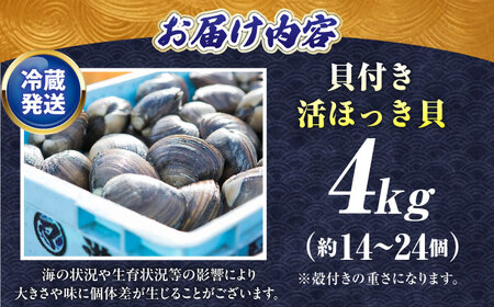 【2026年7月中旬以降順次発送再開】活ほっき貝 4kg 約14～24個【鵡川漁業協同組合】ホッキ 冷蔵発送 [AXAL006]