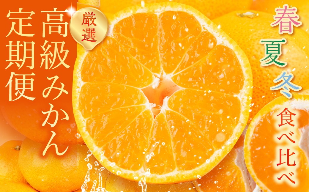 
                  高級みかん 食べ比べ定期便 全3回 春 夏 冬 みかん 食べ比べ 高級 甘い ハウスみかん ミカン 蜜柑 mikan せとか 完熟 セトカ 人気 定期便 フルーツ 果物 旬 くだもの 贈答 蜜ツ丸 蜜ツ星 ハウスミカン 夏みかん 冬みかん 旬の果物 愛知県 豊橋市
                