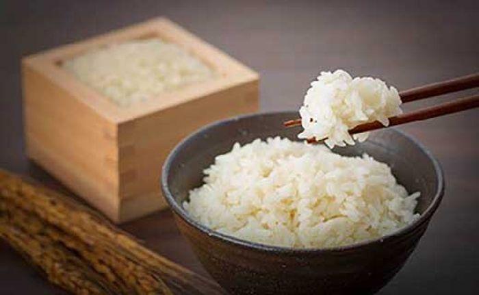 【令和5年産】八町米コシヒカリ５Kg