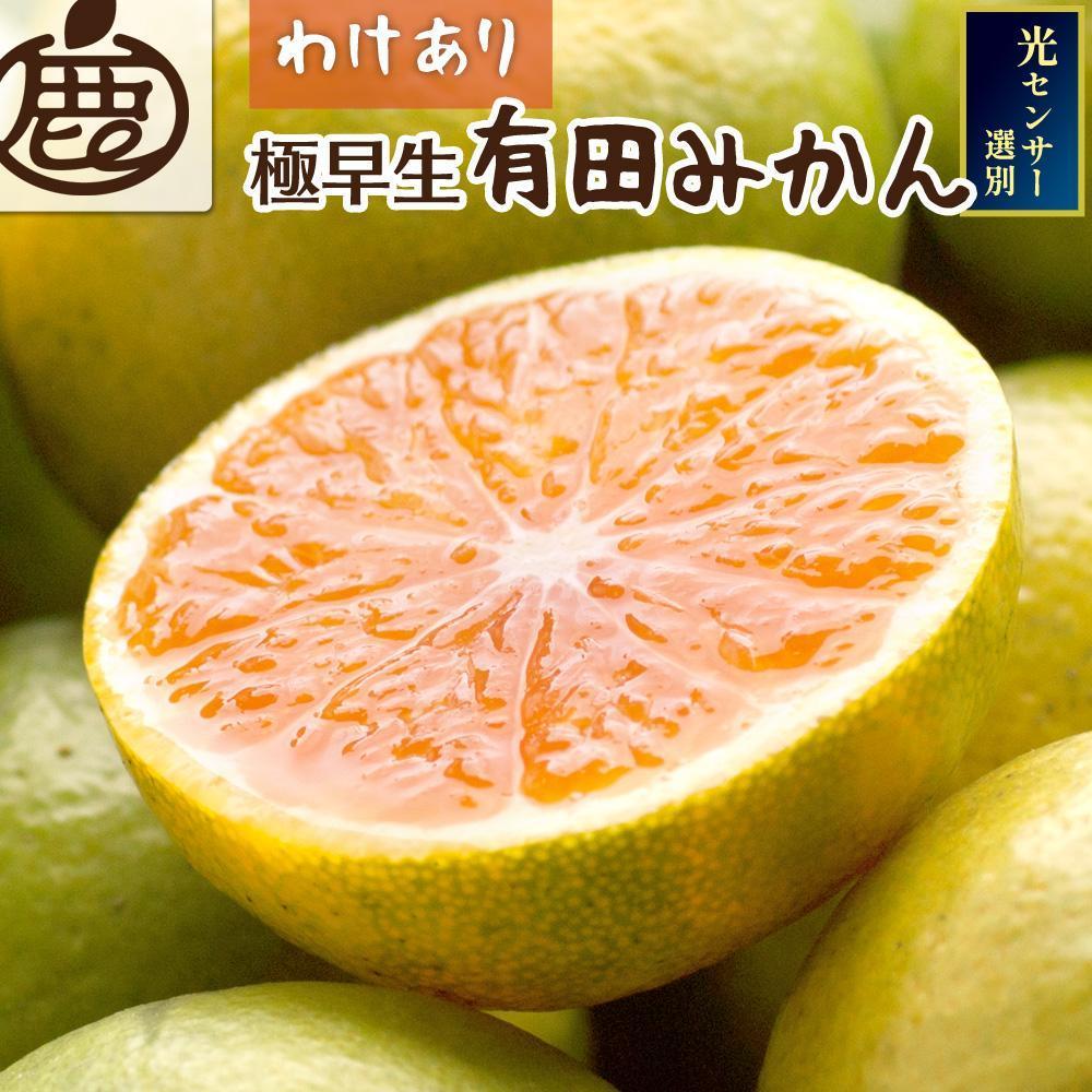 ［先行予約］家庭用 有田みかん（極早生）5kg+250g（傷み補償分）