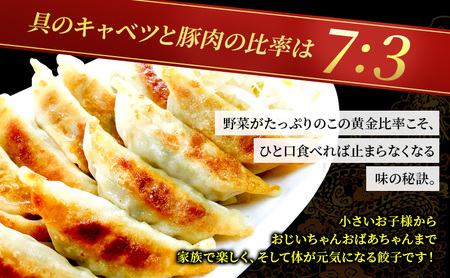 冷凍花餃子110個（22個入×5袋）2か月連続お届け 加工食品 冷凍餃子 ぎょうざ 2カ月 2回 
