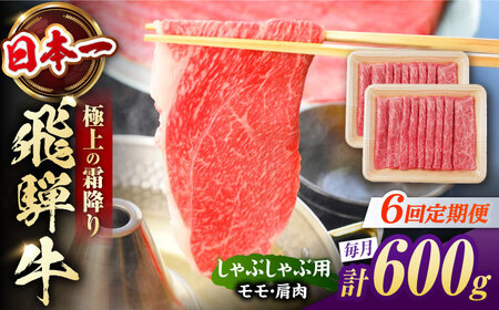 【6回定期便】 飛騨牛 しゃぶしゃぶ用 赤身 600g（300g×2） / 白川町 / 浅井商店[AWBJ019]