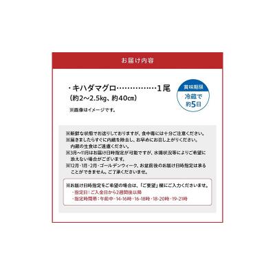 ふるさと納税 南九州市 鹿児島近海キハダマグロ1尾 |  | 03