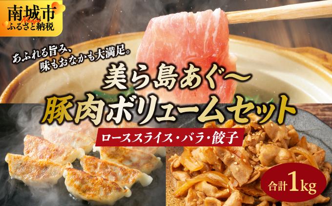 【美ら島あぐ～】豚肉ボリュームセット   I  アグー豚 あぐー豚 あぐ～豚 豚肉 ぶた肉 ブランド豚 沖縄豚    沖縄県 南城市 ふるさと納税