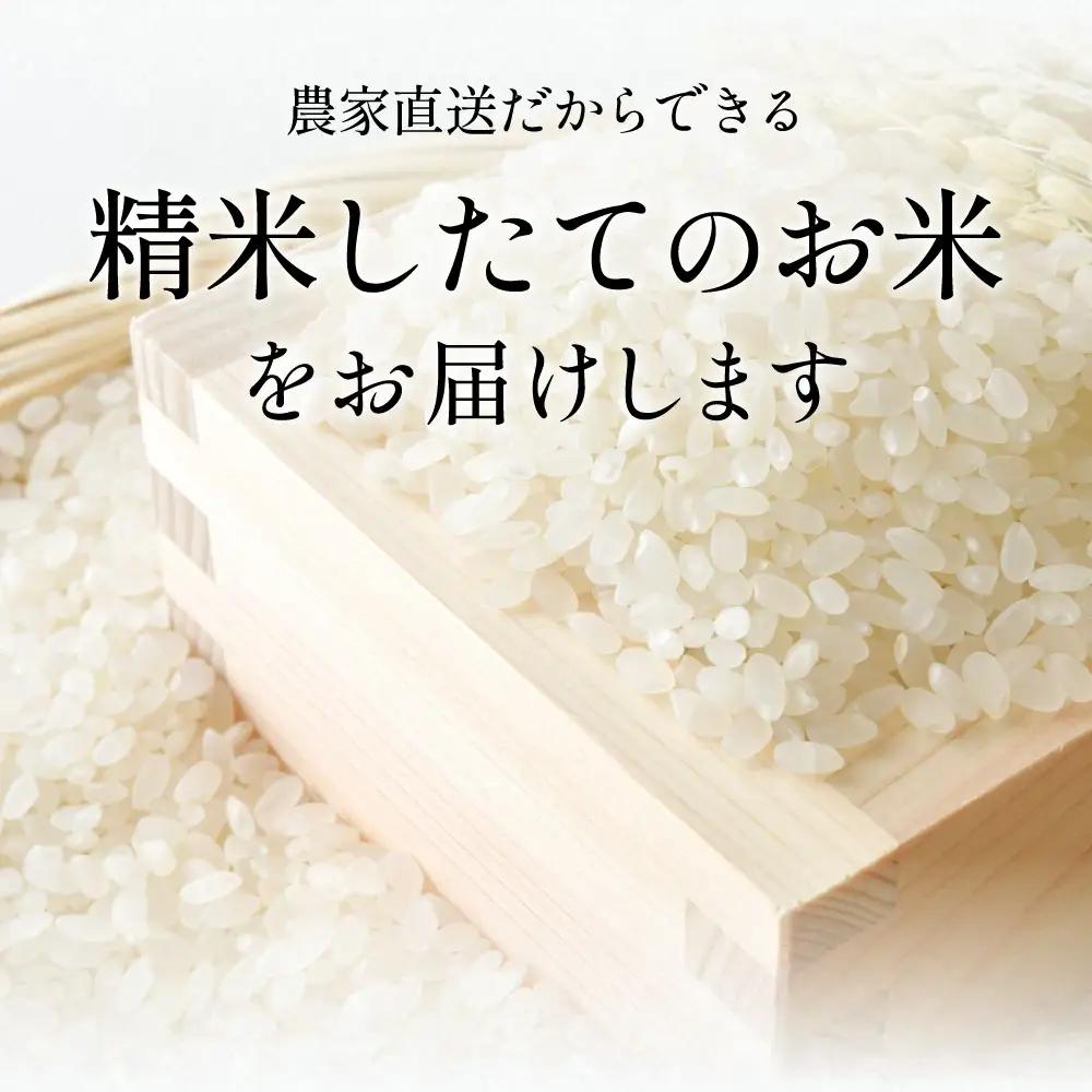寄付額改定〈スピード出荷〉減農薬 特A 丹波篠山産 特別栽培米 こしひかり 3kg 精米