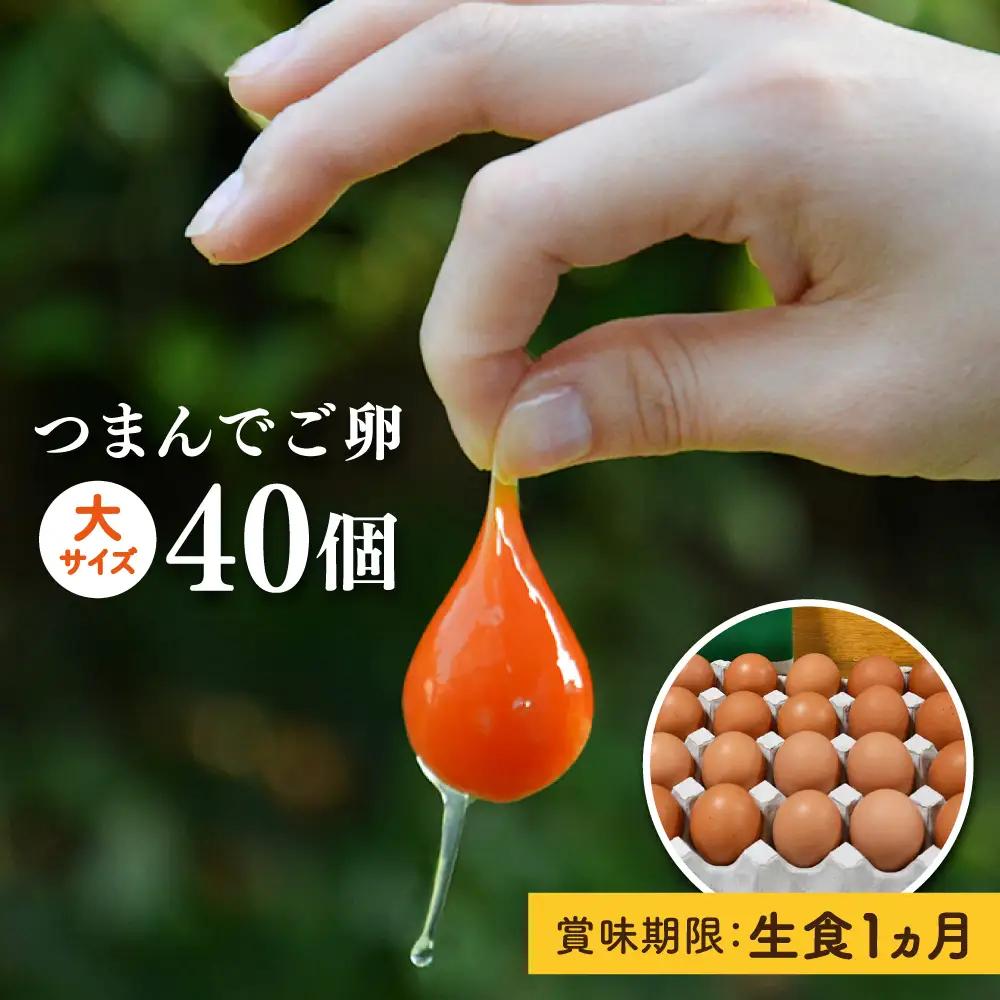 つまんでご卵 卵 大サイズ 40個 セット [AGA011] たまご