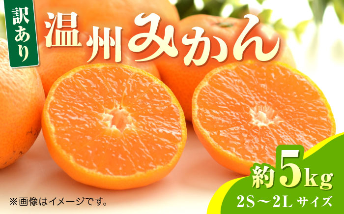 
                  【先行予約】温州みかん約5kg　2S～2Lサイズ　【くまふる】  1万円以下 10000円以下 [ZBG051]
                