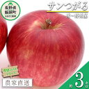 【ふるさと納税】 りんご サンつがる 秀 〜 特秀 3kg 町田さんちのりんご 長野県 飯綱町 〔 リンゴ 林檎 果物 フルーツ 信州 長野 11000円 予約 農家直送 〕発送期間：2025年8月下旬〜2025年9月中旬{***}