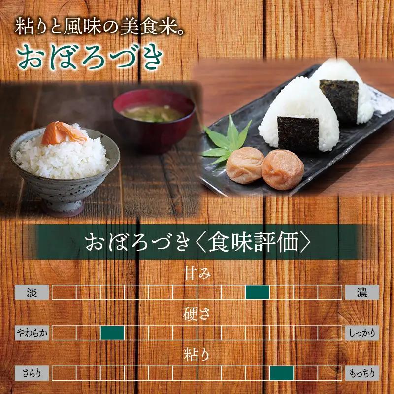 【令和7年産】 北海道産 おぼろづき 5kg 北海道米【sun400-obo-r5-R7B】