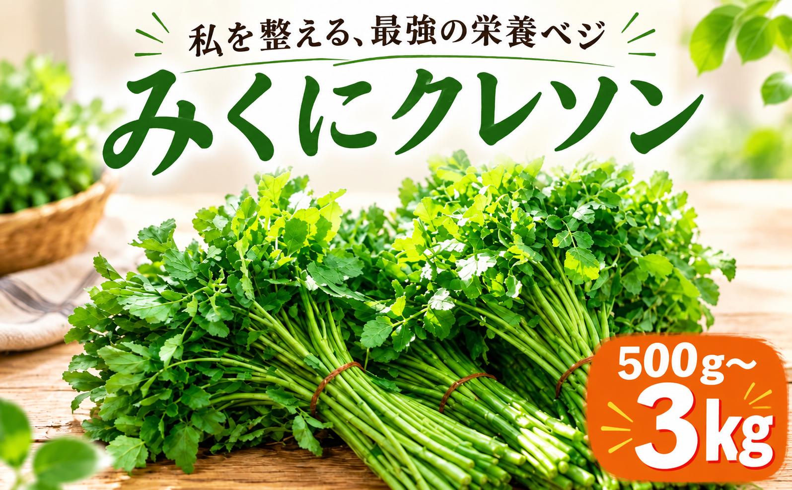 
                  クレソン 選べる容量 約 100g × 5袋 ~ 30袋 500g 700g 1kg 1.5kg 2kg 3kg 小分け サラダ 美容 健康 野菜 スーパーフード 葉物 茨城県産 国産野菜 国産 茨城県 筑西市 筑西 関東 三国園 みくにクレソン mkn
                