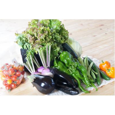 ふるさと納税 北広島市 【有機JAS認定】有機野菜セットA 季節の野菜 詰め合わせ(10〜12種類) |  | 01